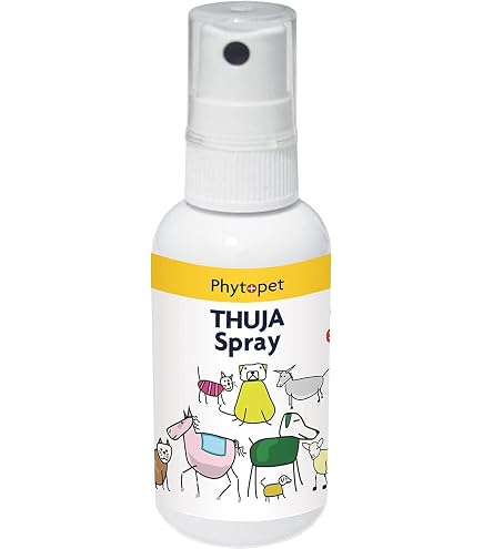Weleda Thuja 30C, Homeopathic Medicinal Product, Thuja Occidentalis 30C,  Vegetarian, 125 Tabs : Amazon.co.uk: Health & Personal Care