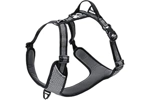 TRUE LOVE Harnais pour Chien Réglable Réfléchissant sans Traction Gilet Durable pour Animaux de Compagnie Voyage en Voiture Extérieur TLH6071(Noir,L)