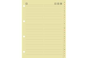 Brunnen - Schede di ricambio per rubrica telefonica, in cartoncino, 160 x 213 mm