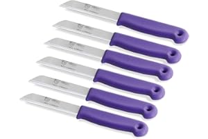 INSTRUMENTENRW Set de couteaux à fruits de Solingen Fabriqué en Allemagne Lames tranchantes en acier inoxydable pour couper les fruits et légumes (Lot de 6, Long/Dentelé)