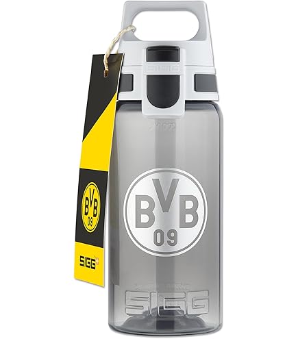 Palla Firmata BVB 2024/25 - Con Firme Giocatori, Giallo, Taglia 1 - Foto 9