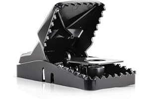 eXuby Large Powerful Rat Traps (4 Pack) - Kills Instantly with Powerful Steel Spring - Setup in Seconds - Wash & Reuse Over & Over - Hands Free Disposal - Rat Control Without Harmful Poisons or Chem