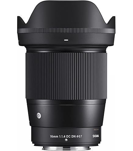 Sigma 30mm f/1.4 DC DN Contemporary Lens for FUJIFILM X Mount  