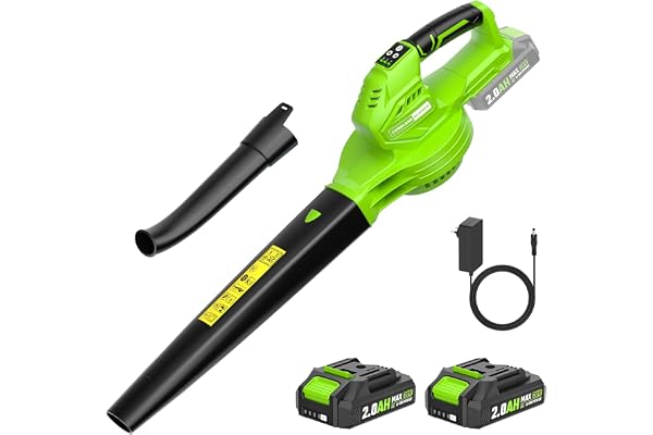 Souffleur de Feuilles,Souffleur de Feuilles sans Fil avec Batterie2×2,0 Ah et Chargeur,3 Vitesse Max 360m³/h,Portable 1,4kg,pour Cour, Pelouse, Jardin