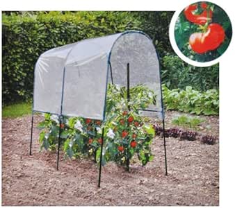 Gewächshaus 200x120x200cm Tomaten Garage Treibhaus Pflanzenhaus