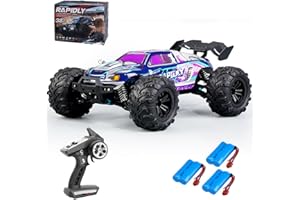 X-Verse 1:16 Auto telecomandata, 50 km/H, spazzola di carbone motore RC ad alta velocità Offroad Drift Auto da corsa, 2,4 GHz, 4 WD All Terrain Offroad Auto da corsa, 3 batterie (viola)