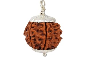 NAISHA Himalayan 7 Mukhi Rudraksha Bead, 100% Certified & Original Seven-Faced Rudraksha Seed Necklace, Rudraksha Bead Pooja/Prayer/Meditation