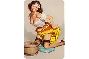 Schatzmix Blechschild Pinup Girl beim Apfel Spiel Metallschild Wanddeko 20x30 tin Sign