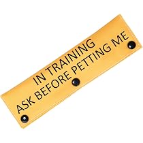 Hunde-Leinenhülle „In Training – Please Ignore“ – Lustiges Accessoire Für Welpen & Hunde