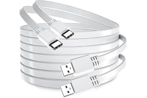 BASESAILOR Cavo di Ricarica USB A a USB-C 5M/2P,Cavo Alimentazione Piatto lungo da Tipo A 2.0 a USBC Compatibile per PS,Xbox Series X/S,Controller Switch Pro,BLink Mini 2,Wyze Cam Pro Kabel