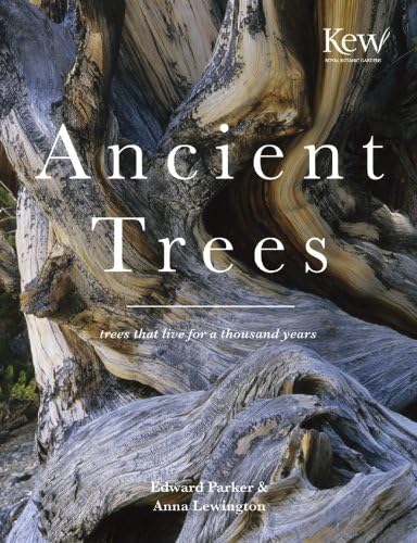 Ancient Trees: Trees that live for a thousand years (National Trust History & Heritage)