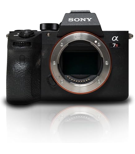 Sony Alpha 7R III / ILCE-7RM3: Amazon.co.uk: Electronics & Photo