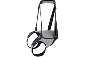 predolo Tutore Cane Zampe Posteriori, Imbracatura Di Supporto per Sollevamento Cani, Cintura Ausiliaria Imbracatura Cane Zampe Posteriori per Cani Anziani Disabili E Feriti, M