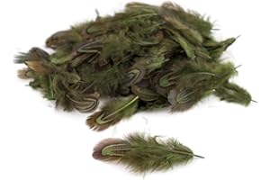 CREATIVERY Lot de 130-140 plumes de faisan 3 g env. 3-8 cm (vert olive)