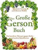Image de Das Große Gerson Buch: Die bewährte Therapie gegen Krebs und andere Krankheiten