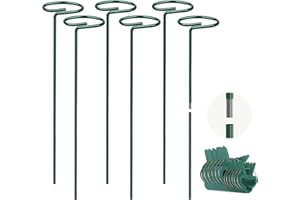 MUAEEOK 6 Packs 80cm 31.5in (40cm Support +40cm Lengthen) Garden Flower Support Plant Support Stakes with 12 Pcs Plant Clips, Single Plant Stem Support for Flowers, Orchid, Peony, Lily, Rose (80 CM)