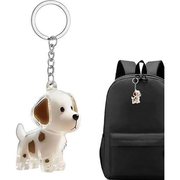 Bouteille De Rangement De Poils De Chat, Porte-clés Pour