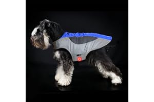 WNING Manteau pour Chien Veste Chaude d'hiver Coupevent Sport Vêtements Combinaison de Ski pour Chien Convient Sport en Plein air Gilet avec Lumière LED, Convient pour Petit Moyen Grand Chiens
