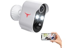 SHARKPOP Security Camera Wi-Fi Wireless Camera with AI Human Detection, Two-Way Audio, Colour Night Vision, and Cloud Storage (2-spotlight)