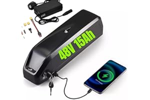 ECOHIPOW (UK Stock) Ebike Battery 48V 15AH Electric Bike Battery with 2A Fast Charger 30A BMS, 5 Pin E-Bike Scooter Lithium Batteries for Bafang AW Voilamart 0-1000W Electric Bicycles Motor/Ebike Kit
