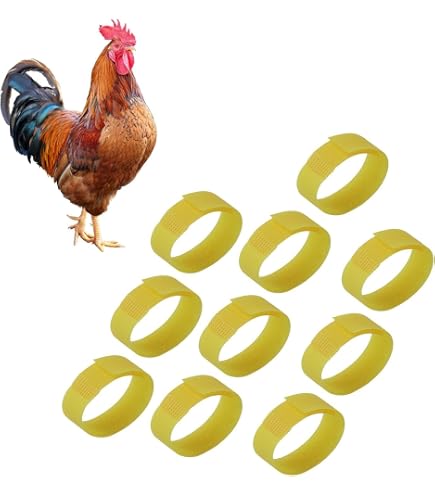 Krhenhahn-Halsband, verbessertes Anti-Krhen-Hahnenhalsband, kein Krhen-Gerusch  fr Hahn, Hahn, Klettverschluss, Nylon, verhindert Hhner vom Schreien  (6er-Pack) : Amazon.de: Haustier