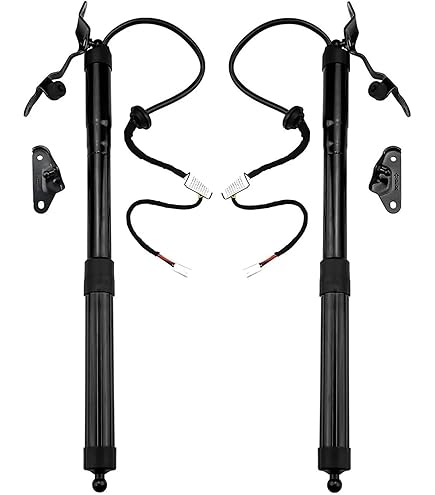 Vérins à Gaz Pour Hayon Toyota RAV4 2013-2018 - 2 Pièces - Compatible 6892009010, 6892009011 Etc.