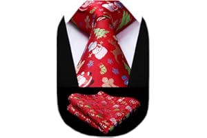 HISDERN Set da cravatta e cravatta per feste in tessuto annodato da uomo