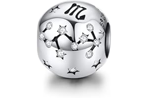 YASHUO Breloque en argent sterling 925 avec signe du zodiaque pour bracelets à breloques, cadeau de Noël pour femmes et hommes, Cristal