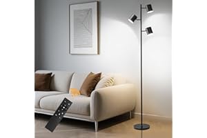 AManLife lampadaire sur pied salon, 160CM lampadaire tout métal, lampe salon 27W 2500LM 3 Couleurs 5 Luminosité, lampe sur pied pour salon, chambre, bureau (avec ampoule et télécommande)