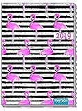 Taschenkalender Flamingo A7 2019 Buchkalender Taschenterminer by 