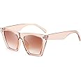 FEISEDY Oversized Vintage Cat Eye Square Sunglasses Women Trendy Cateye Sunglasses B2473