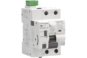 GEYA Réenclencheur automatique avec disjoncteur de sécurité à dispositif à réenclenchement automatique de A type RCCB RCD ELCB (Réenclencheur AC220V+A Type RCCB 2P-40A-100mA)