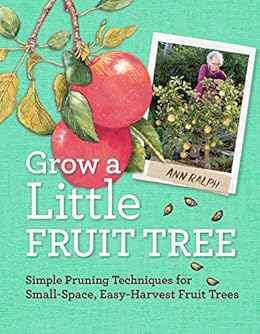 Grow A Little Fruit Tree Simple Pruning Techniques For Small