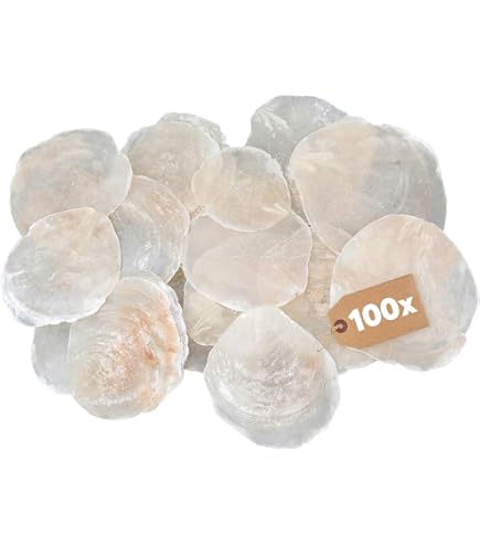 100-Pz Gusci Rotondi, 2 Gusci Naturali Piatto Rotondo Con Foro, Dischi