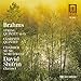 Produktbild Brahms/Streich-Quintett/Klarinetten-Quintett
