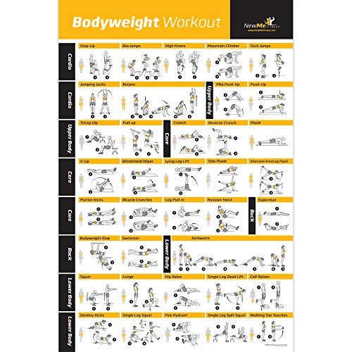 Newme fitness exercise poster. Tolale formatting. Fitness Training Program, Gym Poster for Home ABS, Legs, Upper Body. (500 mm x 700 mm)