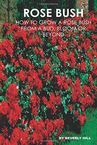 Rose Bush: Learn How To Grow A Rose Bush From A Bud, Bloom or Beyond (: Rose bush, rose bush growing, rose bush ready to plant, rose bush cover, rose ... seeds, rose bush seeds, rose bush gloves)