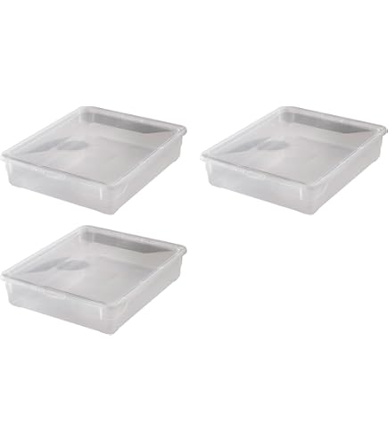 Boîte De Rangement Transparente Rotho Clear 2L - Avec Couvercle, Sans BPA - 19x16,5x9 Cm - Systeme QR Code Appmybox