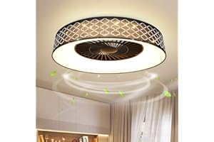 PADMA Modern Ceiling Fan with Light, LED Ceiling Fan Light with Remote Control, 40W Dimmable Ceiling Light Fan, Invisible Fan with Lighting for Bedroom, Living Room, Kid's Room, Timing, 3000-6500K