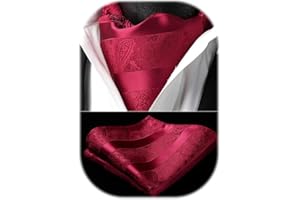 HISDERN Ascot Uomo Paisley Floreale Fazzoletto Cravatta da Matrimonio Elegante Foulard Business Ascots e Pochette Set