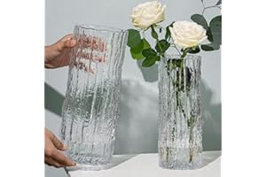 QEEYON Grande Jarrón de Cristal, Jarrón Cilíndrico de Cristal Transparente 25 cm de Alto para Arreglos Florales para Centros de Mesa, Sala de Estar, Cocina, Oficina, Boda (25 x 10 cm)