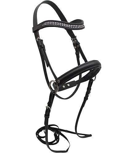 Rosettes Hobby Horse Rosettes Pour Hobby Horse - Lot De 6 - Rubans Prix Pour Concours Chevaux Jouets - Arc-en-Ciel Rubans Prix Chevaux Jouets