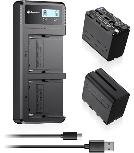 PATONA 2x Batteria ricambio per Konica Minolta NP-200, NP200 batterie compatibile con Konica Minolta Dimage X, Xi, Xg, Xt, Xt BIZ