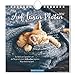 Auf leisen Pfoten 2018: Postkartenkalender by 