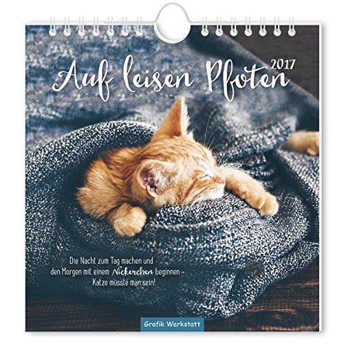 Auf leisen Pfoten 2018: Postkartenkalender