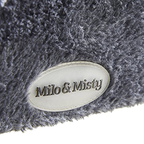 milo and misty cat scratcher