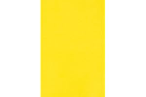 Netuno 100x carton jaune 250g papier décoratif A4 210x297mm Burano Giallo Zolfo idéal pour cartes de voeux scrapbooking bricolage invitations art et artisanat anniversaire DIY loisirs créatifs