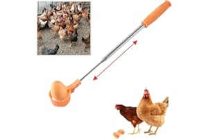 JOURNDREAM Cattura-uovo per uova di gallina – Strumento allungabile in acciaio inox con manico antiscivolo, sollevatore a lungo raggio per la raccolta di uova fresche da pollaio, nido di uccelli e agricoltura