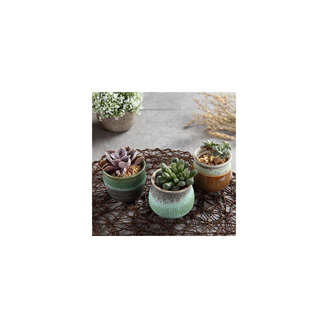 T4U Conjunto de 3 Trío de Verano de cerámica Cerámicos Planta Maceta