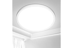 Swoieltr Bathroom LED Ceiling Light, 6500K Cold White Ø22.3CM 18W Round Modern Flush Ceiling Lights IP44 Waterproof Close-to-Ceiling Light for Office, Kitchen, Bedroom, Living Room